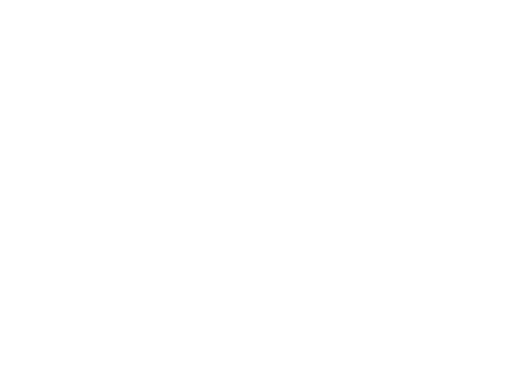 The Herbert Arms Logo